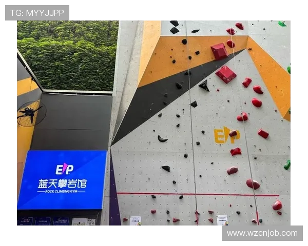 深圳攀岩队的防反策略揭秘与深度分析攀岩运动的挑战与乐趣